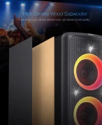 F&D PA300 Party Speaker 100W