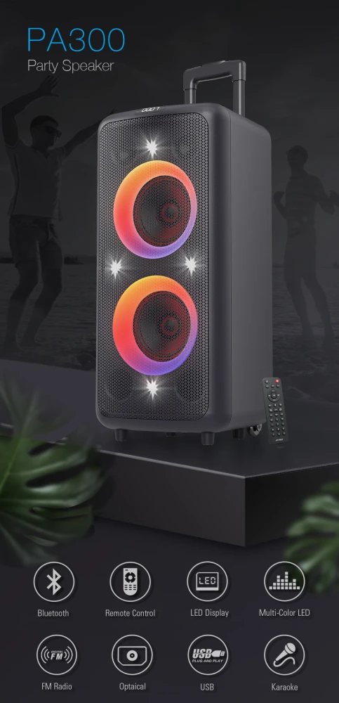 F&D PA300 Party Speaker 100W