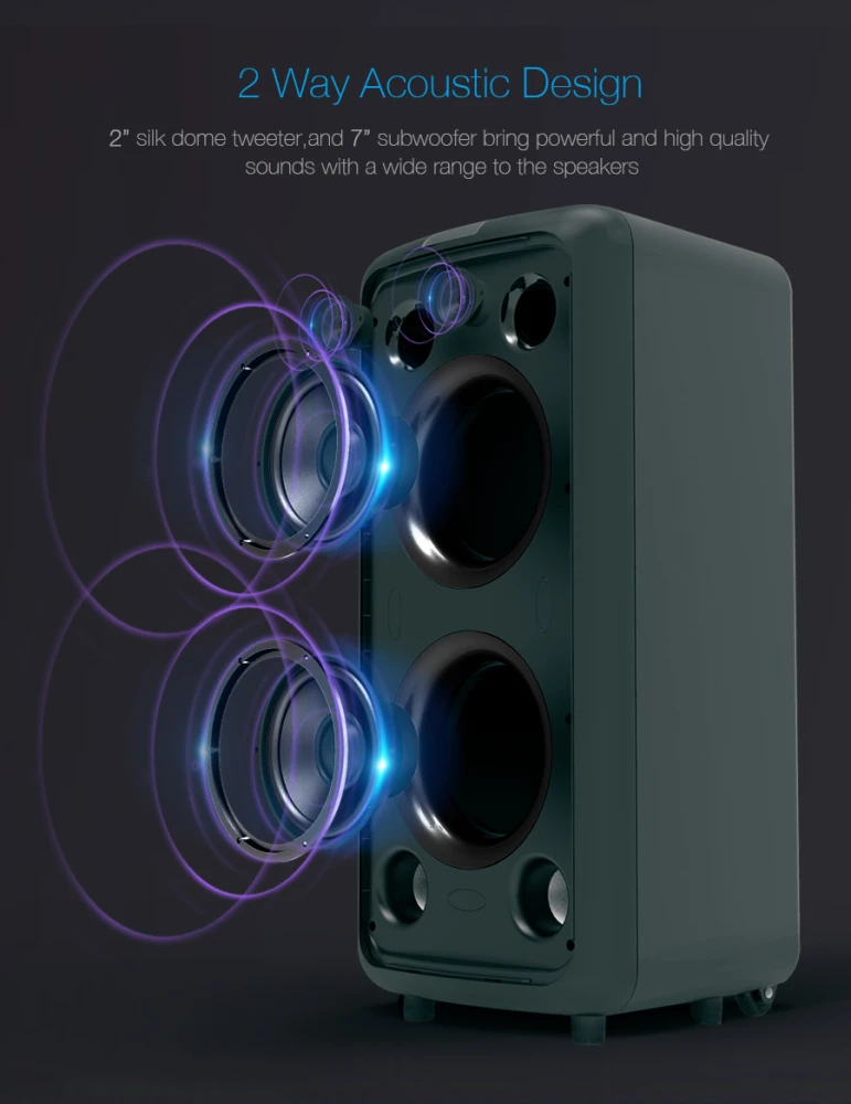 F&D PA300 Party Speaker 100W