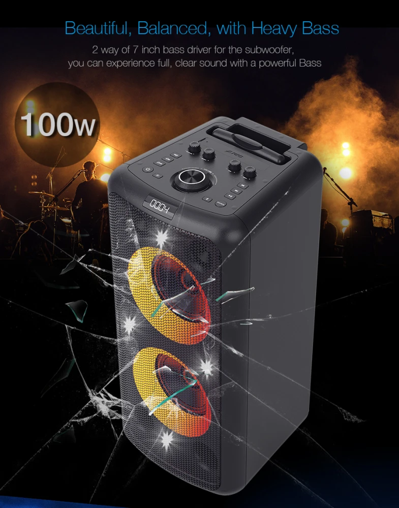 F&D PA300 Party Speaker 100W