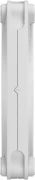 FRACTAL Momentum 14 White