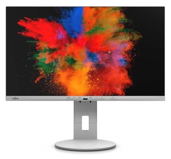 Fujitsu DISPLAY P2410 WE