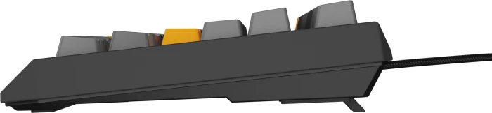 Genesis Thor 230 TKL Anchor Gray Positive Red Switch