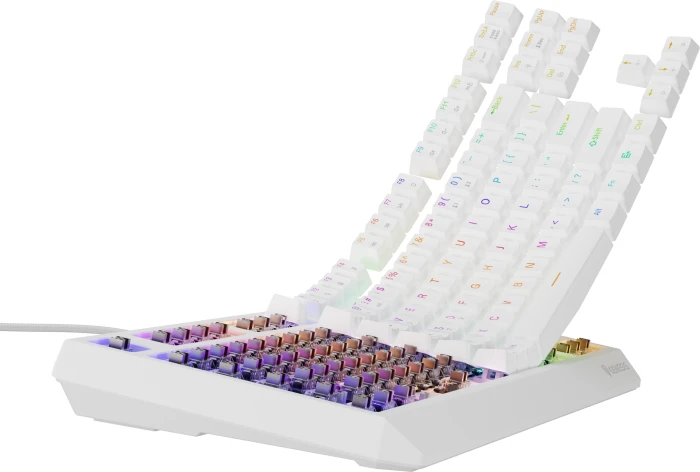 Genesis Thor 230 TKL White Brown Switch
