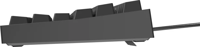 Genesis Thor 404 TKL Black Gateron