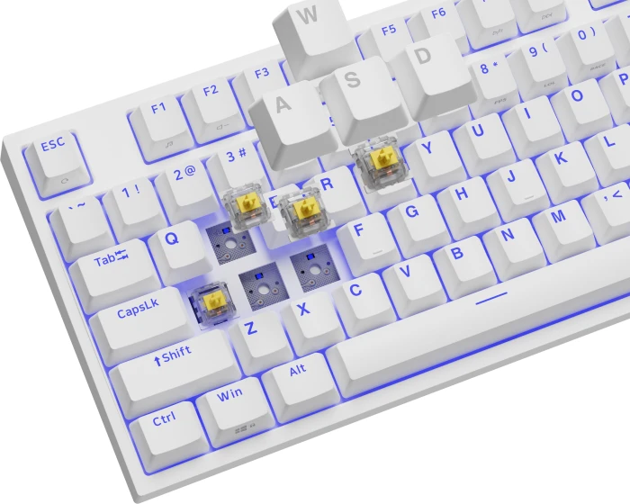 Genesis Thor 404 TKL White Gateron