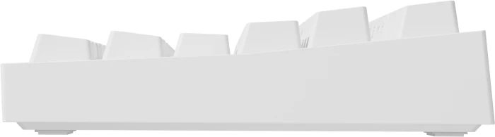 Genesis Thor 404 TKL White Gateron