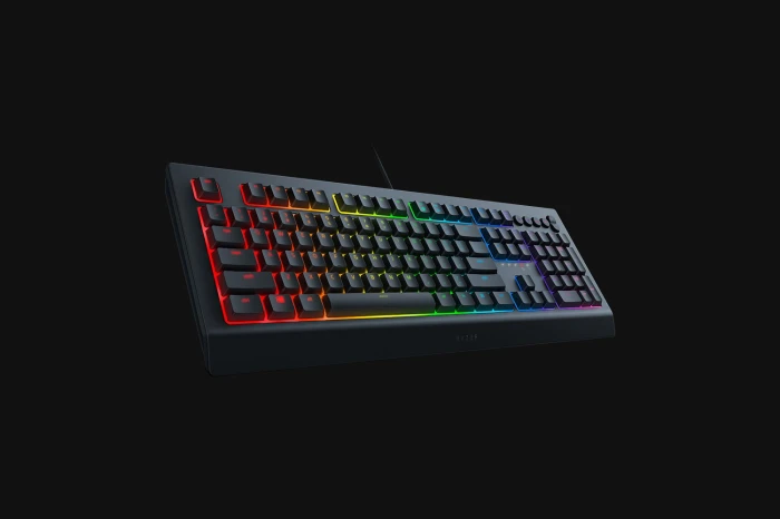 Razer Cynosa V2