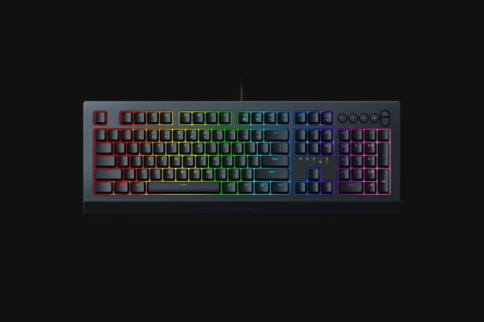 Razer Cynosa V2
