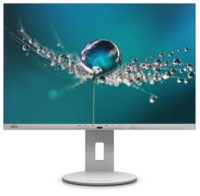 Fujitsu DISPLAY B2410 WE