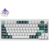 Keychron Q1 HE QMK Nebula Switch