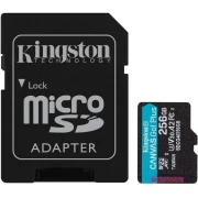 KINGSTON Canvas Go! Plus G4 256GB