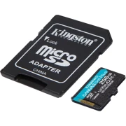 KINGSTON Canvas Go! Plus G4 256GB