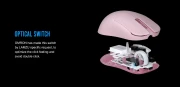 Lamzu ATLANTIS MINI [Champion] Pink