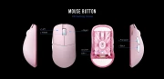 Lamzu ATLANTIS MINI [Champion] Pink