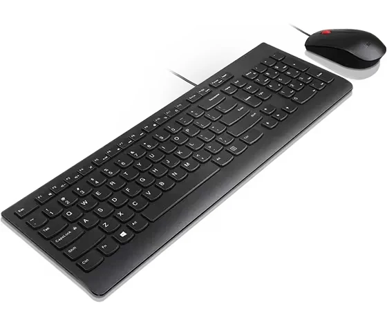 Lenovo Essential Wired Keyboard and Mouse