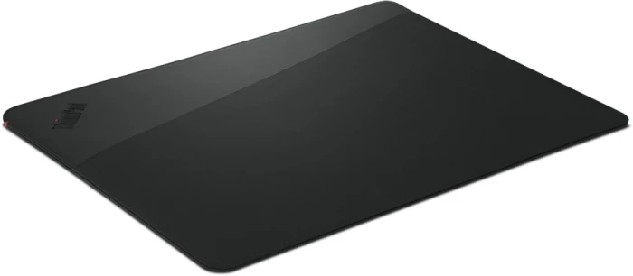 LENOVO ThinkPad Professional Sleeve 14"