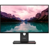 Lenovo T24-40 23.8" IPS 48Hz-120Hz