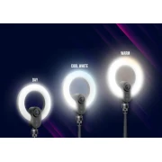 LORGAR Circulus 910 Streaming light