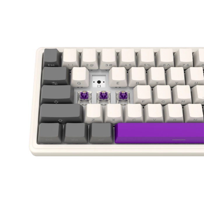 LORGAR KBP70MW Wireless PBT Beige