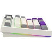 LORGAR KBP70TKLW Wireless PBT Beige