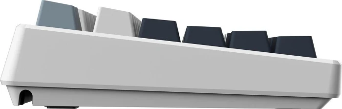 MSI FORGE GK600 TKL LCD WIRELESS SKY