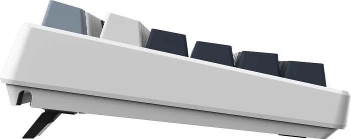 MSI FORGE GK600 TKL LCD WIRELESS SKY
