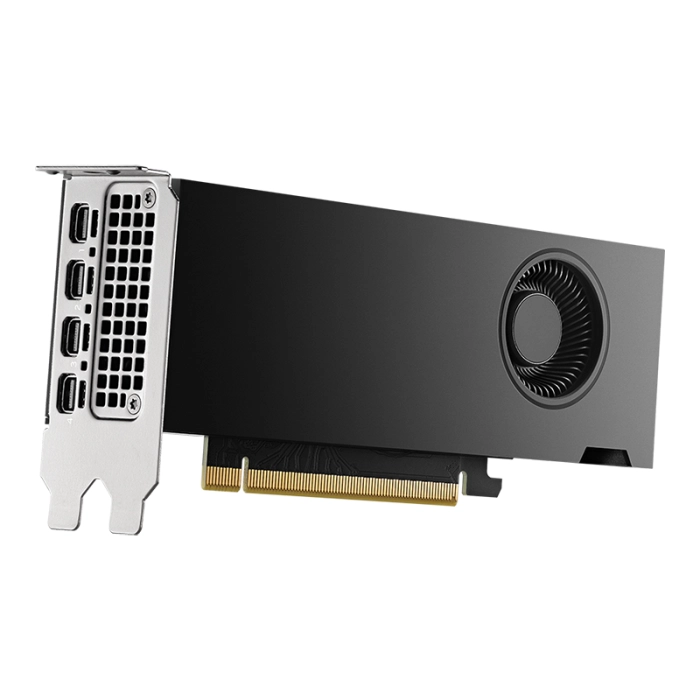 NVIDIA RTX 2000 Ada Generation 16GB