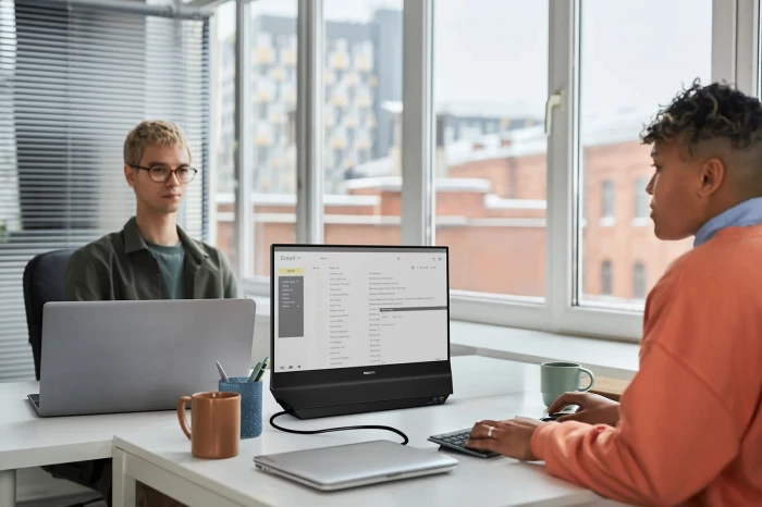 PHILIPS 2-screens 24B2D5300 23.8" IPS