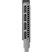 PNY RTX 4000 20GB Ada Generation
