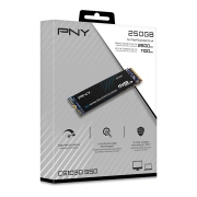 PNY CS1030 250GB