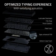 Razer BlackWidow V4 75% Tactile Switches