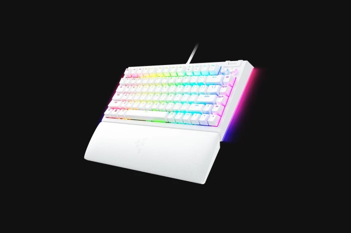 Razer BlackWidow V4 75% White