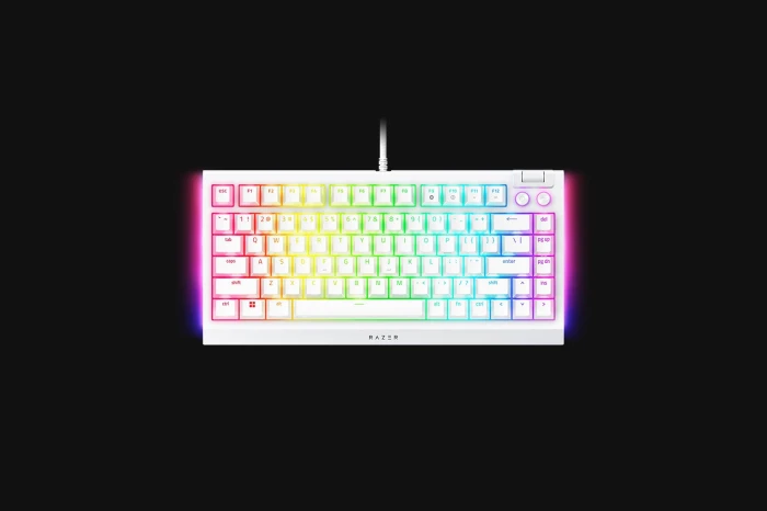 Razer BlackWidow V4 75% White