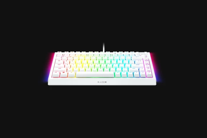 Razer BlackWidow V4 75% White