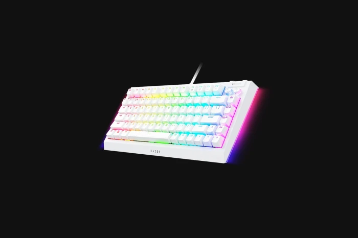 Razer BlackWidow V4 75% White