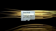 SanDisk MAX Endurance microSD - 256GB