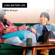 Sony SRS-XB100 Bluetooth - Black