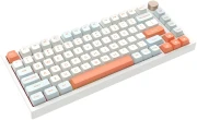 VGN N75 RGB Orange - Linear Switches