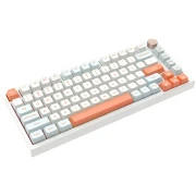 VGN N75 RGB Orange - Linear Switches