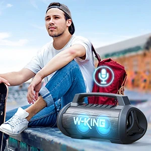 W-King Блутут парти колонка D10 Black - 70W