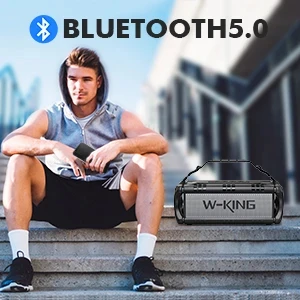 W-King Блутут колонка D8 Black - 50W