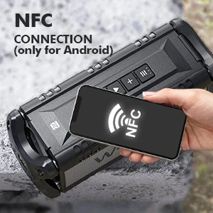 W-King Блутут колонка D8 Black - 50W