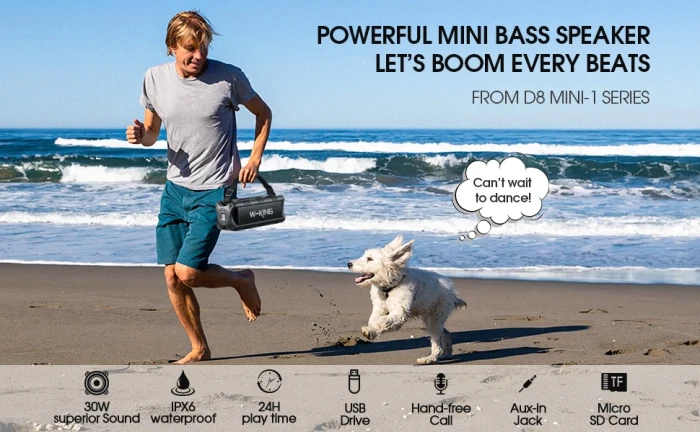 W-King Блутут колонка D8 Mini Black - 30W