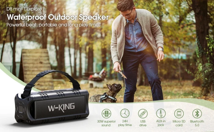 W-King Блутут колонка D8 Mini Black - 30W