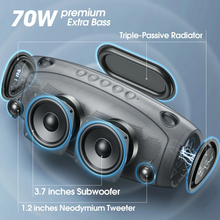 W-King Блутут колонка X10 Black- 70W