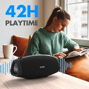 W-King Блутут колонка X10 Black- 70W