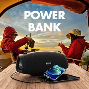 W-King Блутут колонка X10 Black- 70W