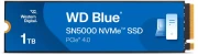 WD Blue SN5000 1TB