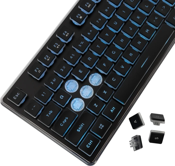 White Shark TACHI - Black